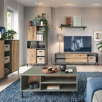 Darwin TV Cabinet 1 Door High