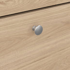 Barcelona Shoe Cabinet 2 Flap Doors in Jackson Hickory Oak