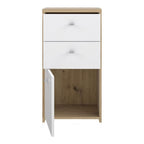 Best Chest Storage Cabinet 2 Drawers 1 Door